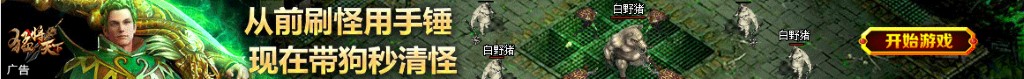 衣服xl多大